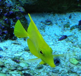 image-1961193571.jpg image-1961193571.jpg