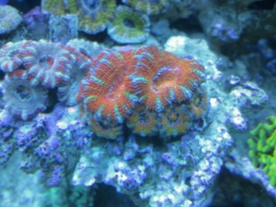 WP_000081.jpg