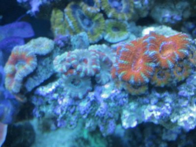 WP_000082.jpg
