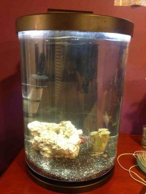 ImageUploadedByTapatalk1374166404.123027.jpg ImageUploadedByTapatalk1374166404.123027.jpg