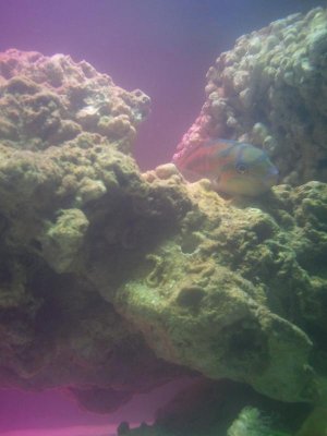 2013-07-12 14.59.58.jpg