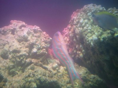 2013-07-12 15.00.45.jpg