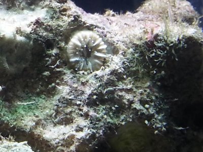 20130712_174154.jpg
