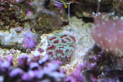 IMG_2076.JPG