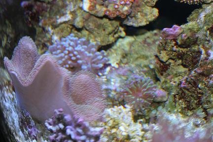 IMG_2078.JPG
