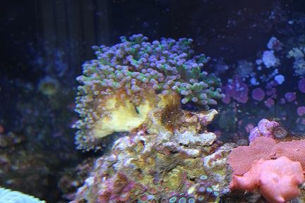 IMG_2081.JPG