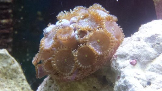 20130713_134514.jpg