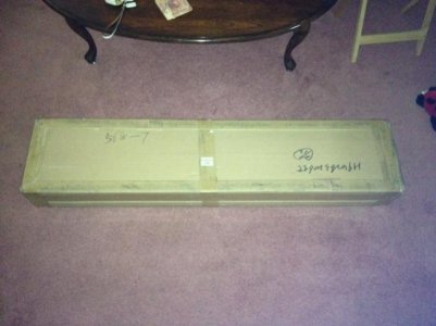 New Light Delivered.jpg