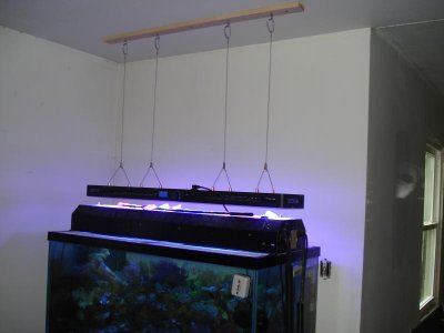 New Light On Hanging.jpg