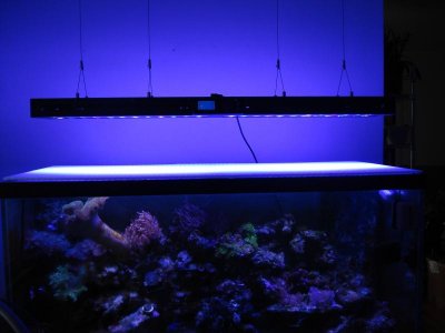 Photon 48 on tank.jpg