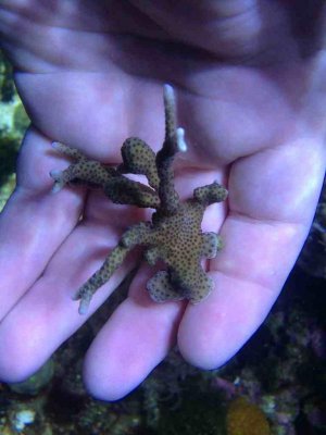 ImageUploadedByTapatalk 21373761072.973007.jpg