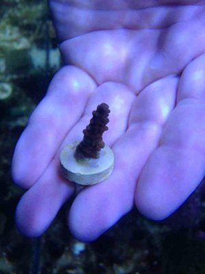 ImageUploadedByTapatalk 21373761375.449094.jpg