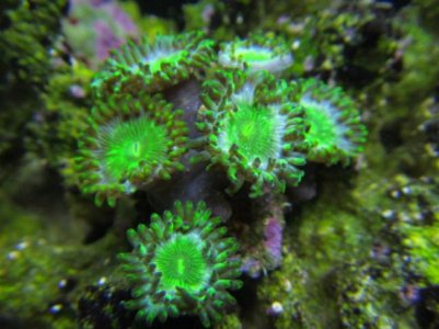 IMG_0094.jpg