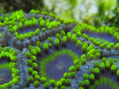 IMG_0097.jpg