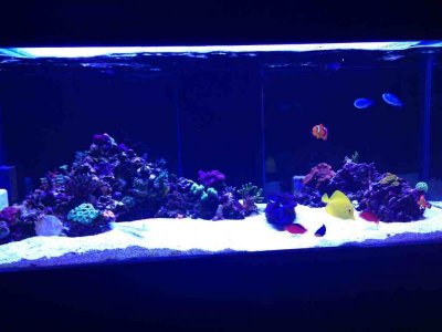 ImageUploadedByTapatalk 21373852225.254008.jpg