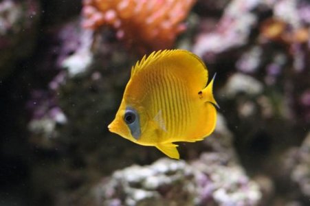 IMG_2003 (Medium).jpg