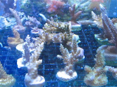 IMG_7448.jpg