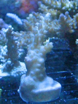 IMG_7444.jpg