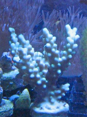 IMG_7445.jpg