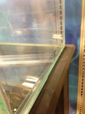 2013-08-11 18.35.35.jpg