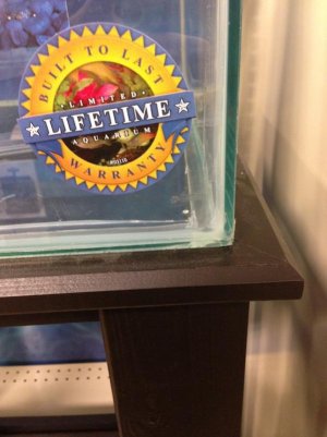 2013-08-11 18.35.29.jpg