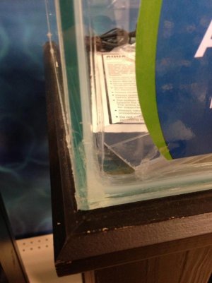 2013-08-11 18.35.17.jpg