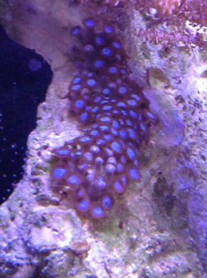 2013-07-22 21.50.21.jpg