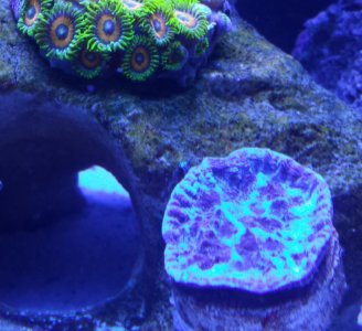 20130810_174252.jpg