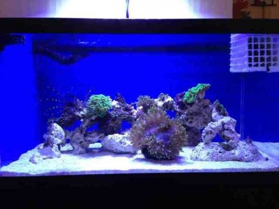 ImageUploadedByTapatalk1374644836.299434.jpg ImageUploadedByTapatalk1374644836.299434.jpg