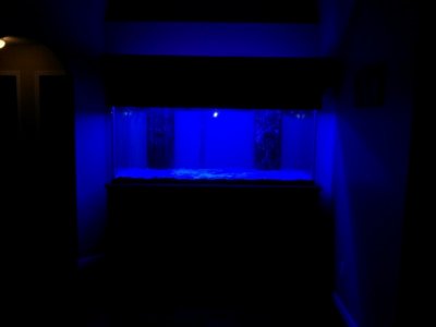 IMG_20130810_215338.jpg