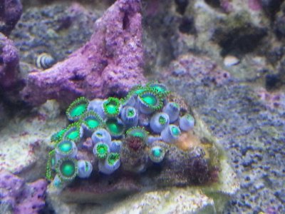 20130724_141808.jpg