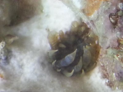 20130725_201531.jpg