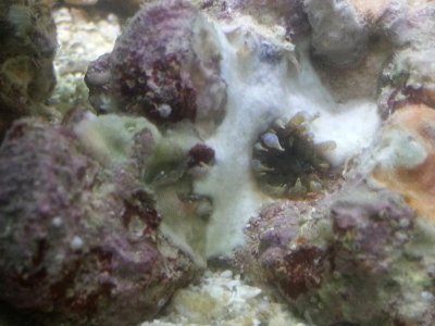 20130725_200208.jpg