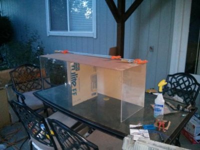 IMG_20130813_201604.jpg