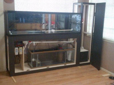 IMG-20111129-00054.jpg