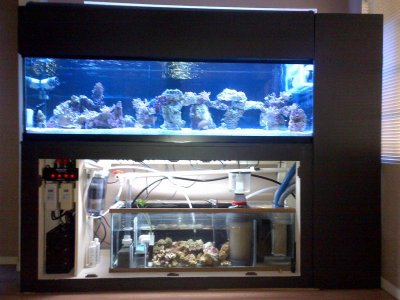 IMG-20111201-00069.jpg