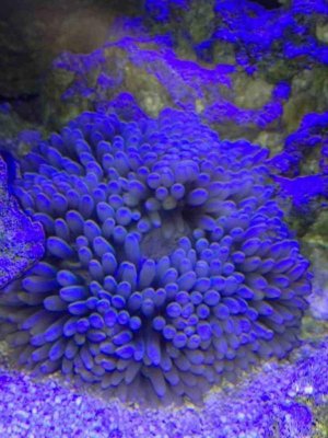 ImageUploadedByTapatalk1374864160.390173.jpg ImageUploadedByTapatalk1374864160.390173.jpg