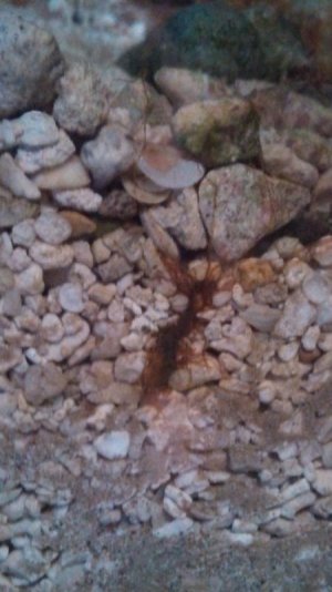 IMG_20130726_072327_845.jpg