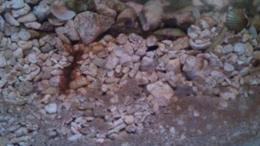 IMG_20130726_072348_884.jpg