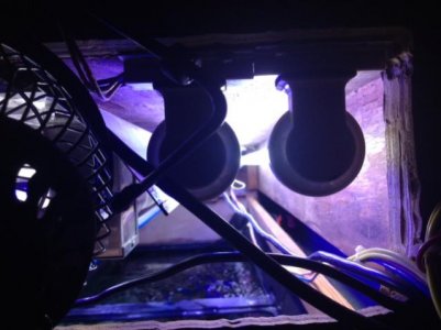 aquariumlight2.jpg