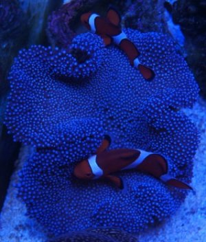 DSC07829r.jpg