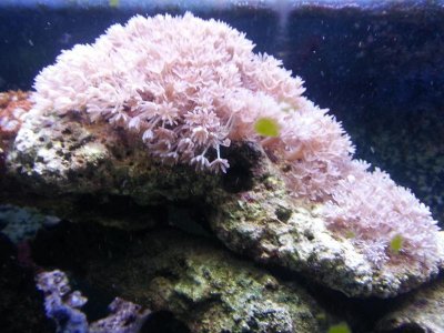 20130325_122124.jpg