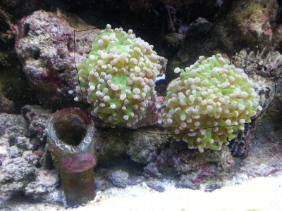 20130308_152327.jpg