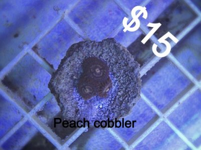 IMG_0115.JPG (2).jpg