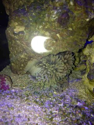 ImageUploadedByTapatalk1375033340.218832.jpg ImageUploadedByTapatalk1375033340.218832.jpg