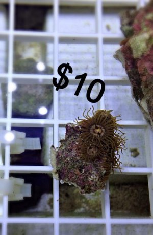 IMG_0102.JPG (2).jpg