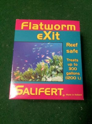 flatworm exit.jpg