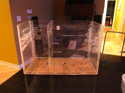 moving sale for reef 044.jpg