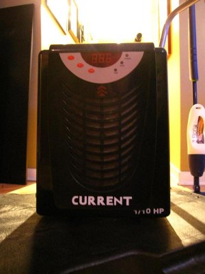 moving sale for reef 046.jpg