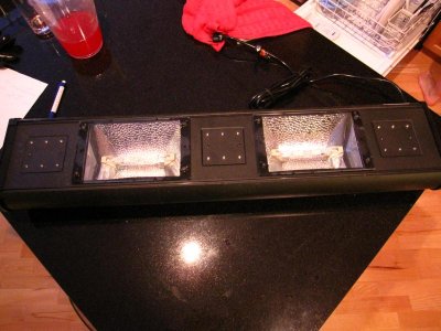 moving sale for reef 049.jpg